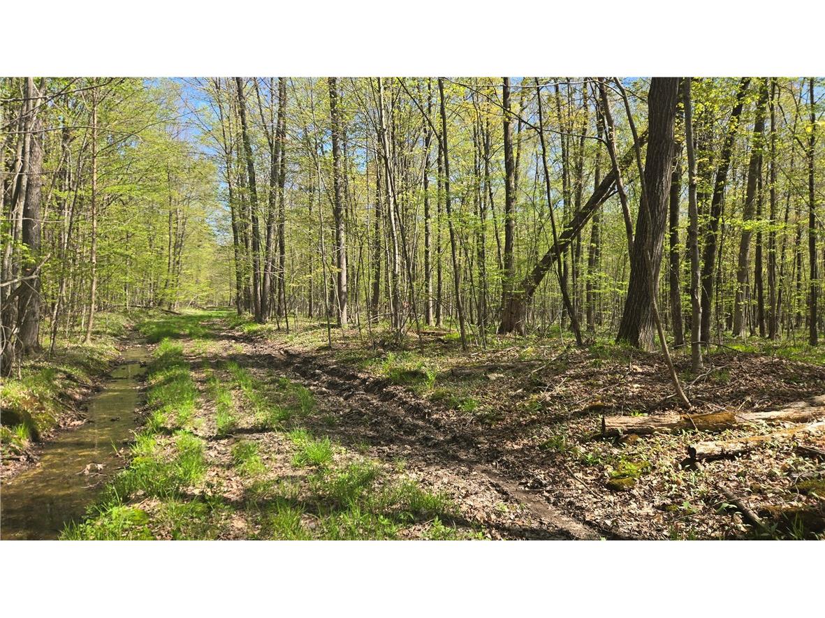 N 900 Joes Road Conrath WI 54731 - Branch of Main Creek 1594406 image3