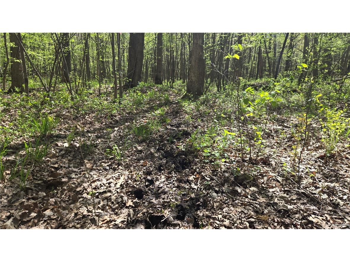 N 900 Joes Road Conrath WI 54731 - Branch of Main Creek 1594406 image31