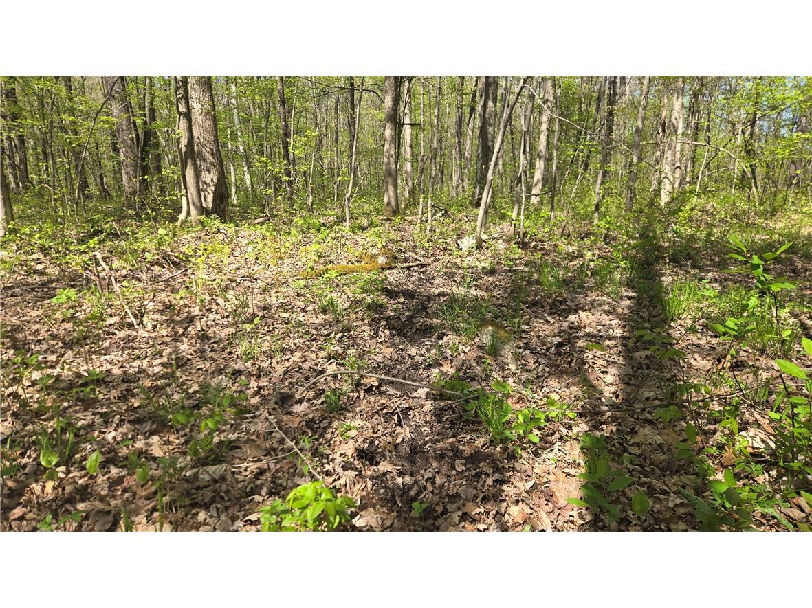 N 900 Joes Road Conrath WI 54731 - Branch of Main Creek 1594406 image32