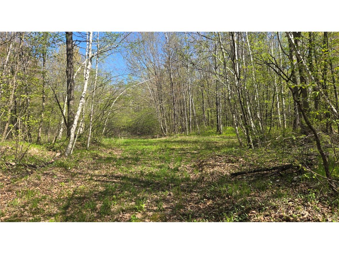 N 900 Joes Road Conrath WI 54731 - Branch of Main Creek 1594406 image33