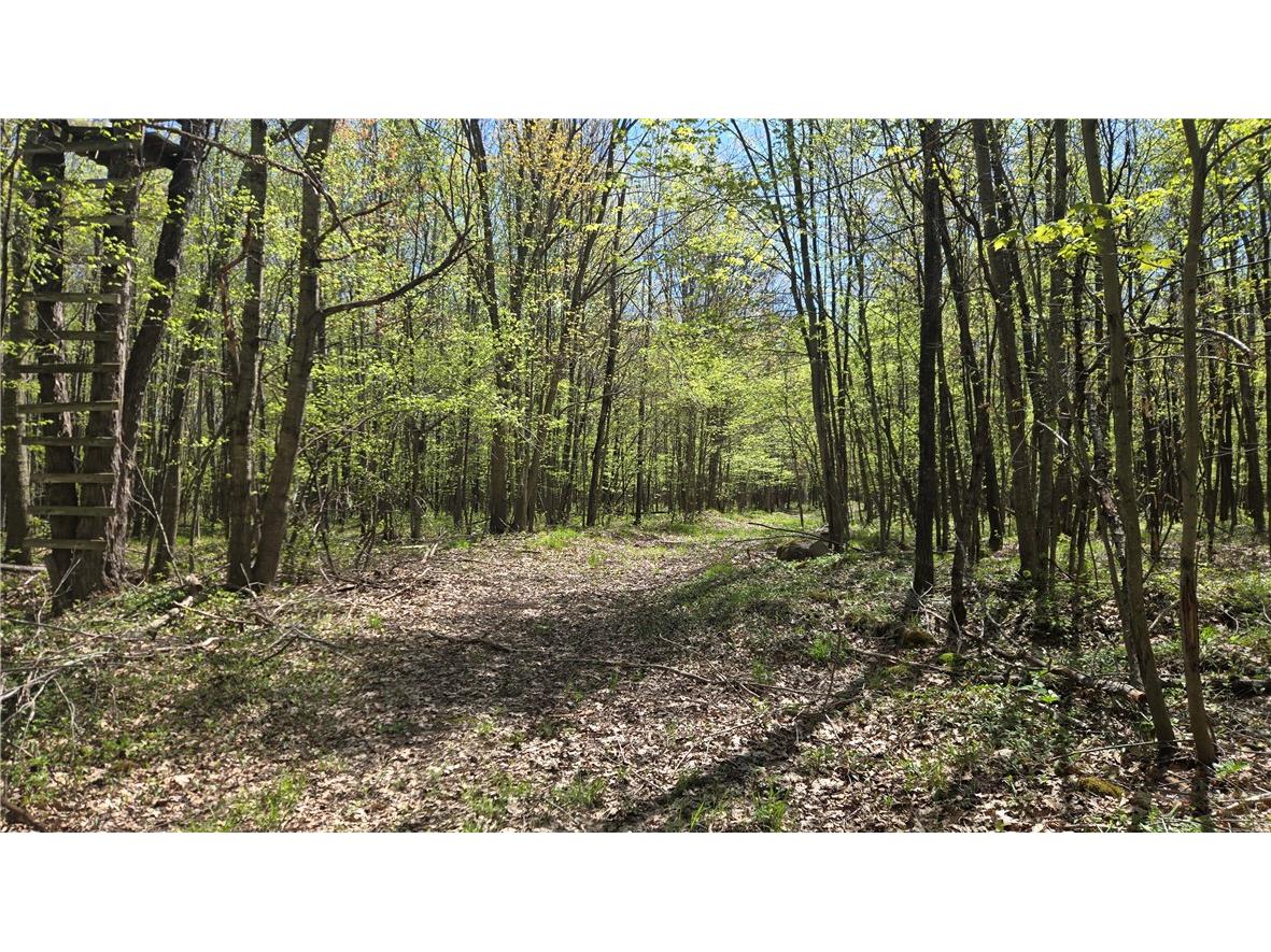 N 900 Joes Road Conrath WI 54731 - Branch of Main Creek 1594406 image34