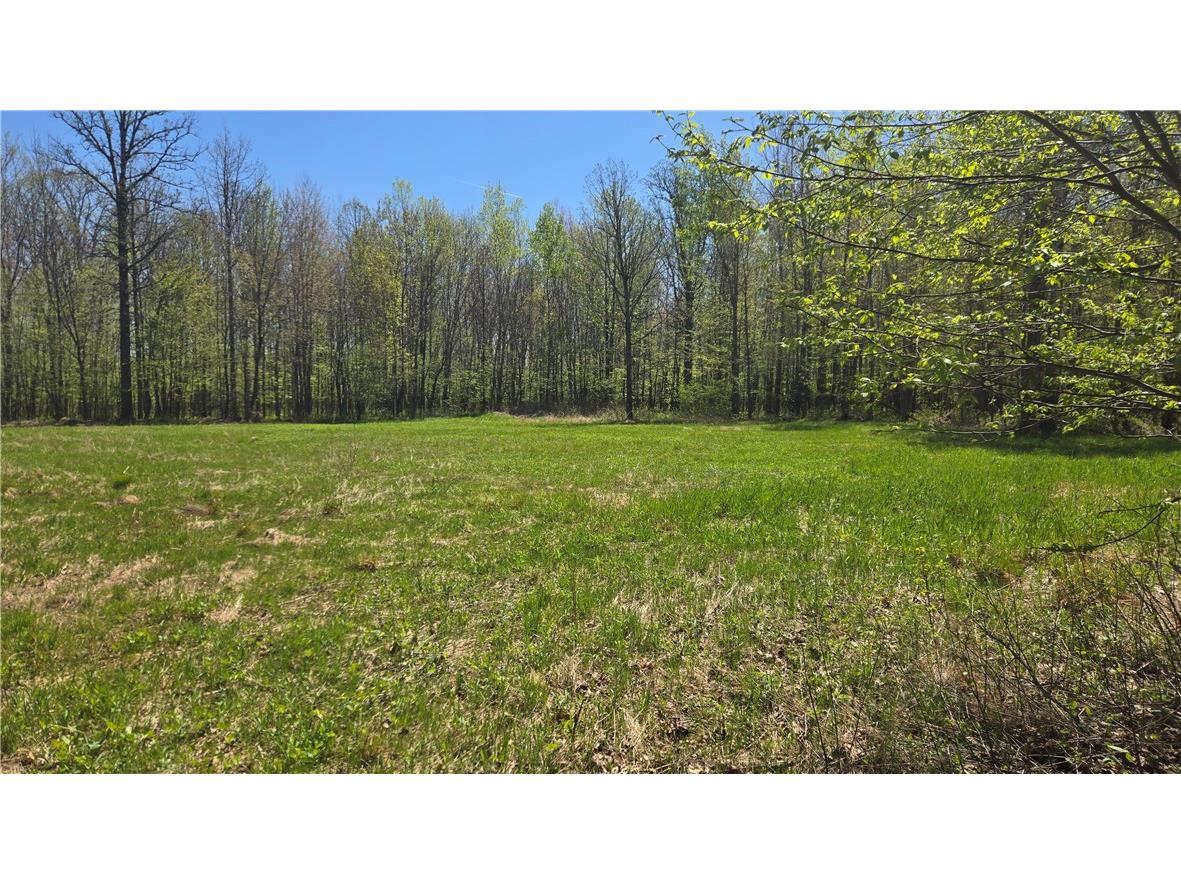 N 900 Joes Road Conrath WI 54731 - Branch of Main Creek 1594406 image37