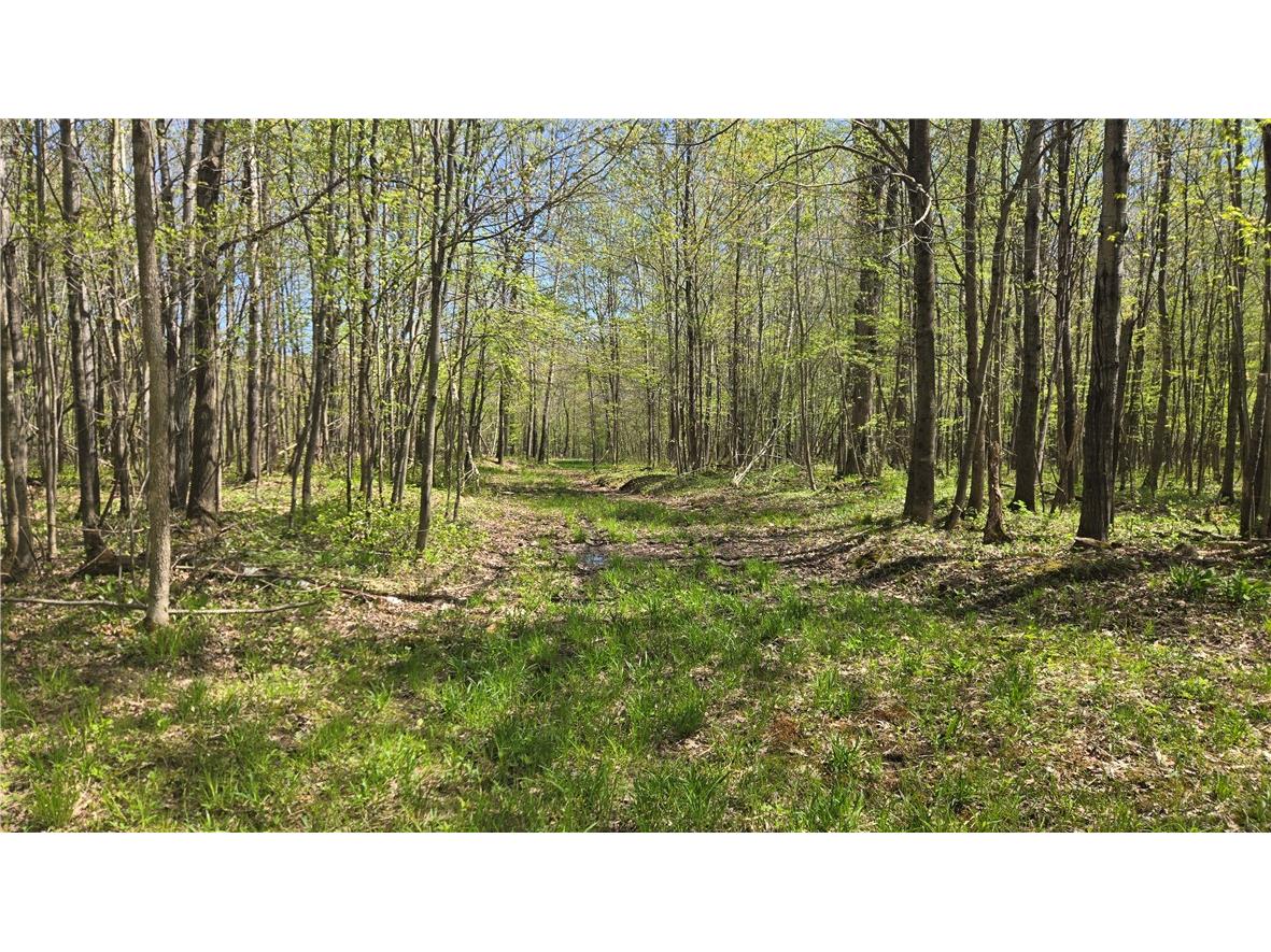 N 900 Joes Road Conrath WI 54731 - Branch of Main Creek 1594406 image38