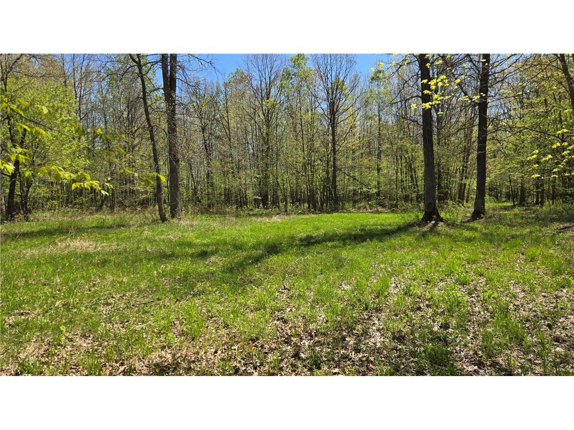 N 900 Joes Road Conrath WI 54731 - Branch of Main Creek 1594406 image39