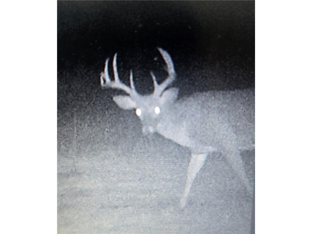 N 900 Joes Road Conrath WI 54731 - Branch of Main Creek 1594406 image4