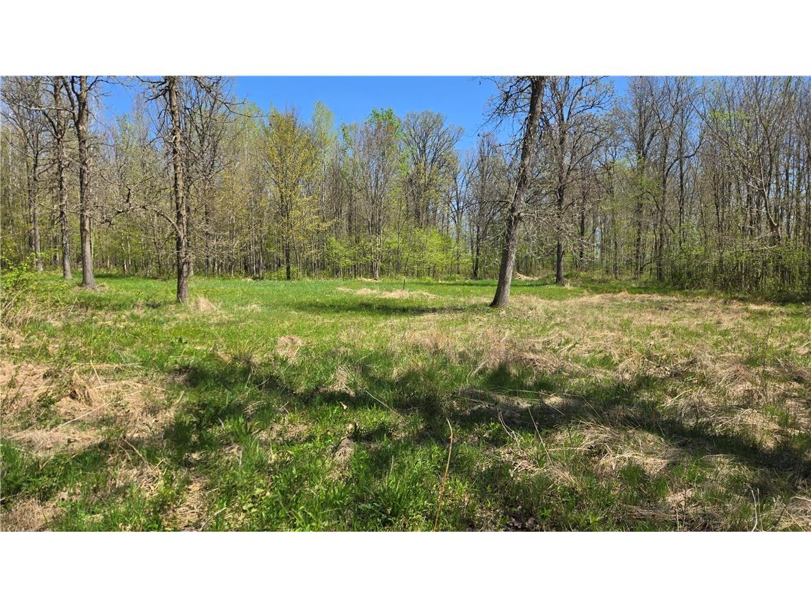 N 900 Joes Road Conrath WI 54731 - Branch of Main Creek 1594406 image40