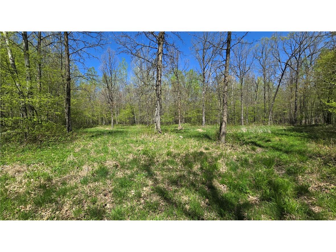 N 900 Joes Road Conrath WI 54731 - Branch of Main Creek 1594406 image41