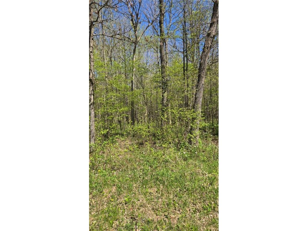 N 900 Joes Road Conrath WI 54731 - Branch of Main Creek 1594406 image42