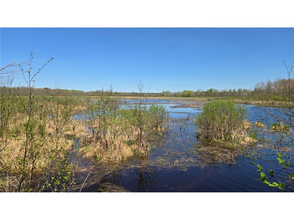 N 900 Joes Road Conrath WI 54731 - Branch of Main Creek 1594406 image48