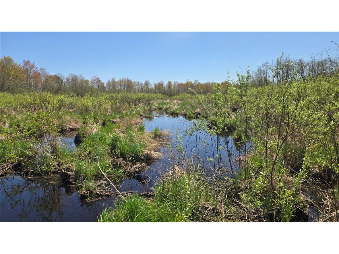 N 900 Joes Road Conrath WI 54731 - Branch of Main Creek 1594406 image49