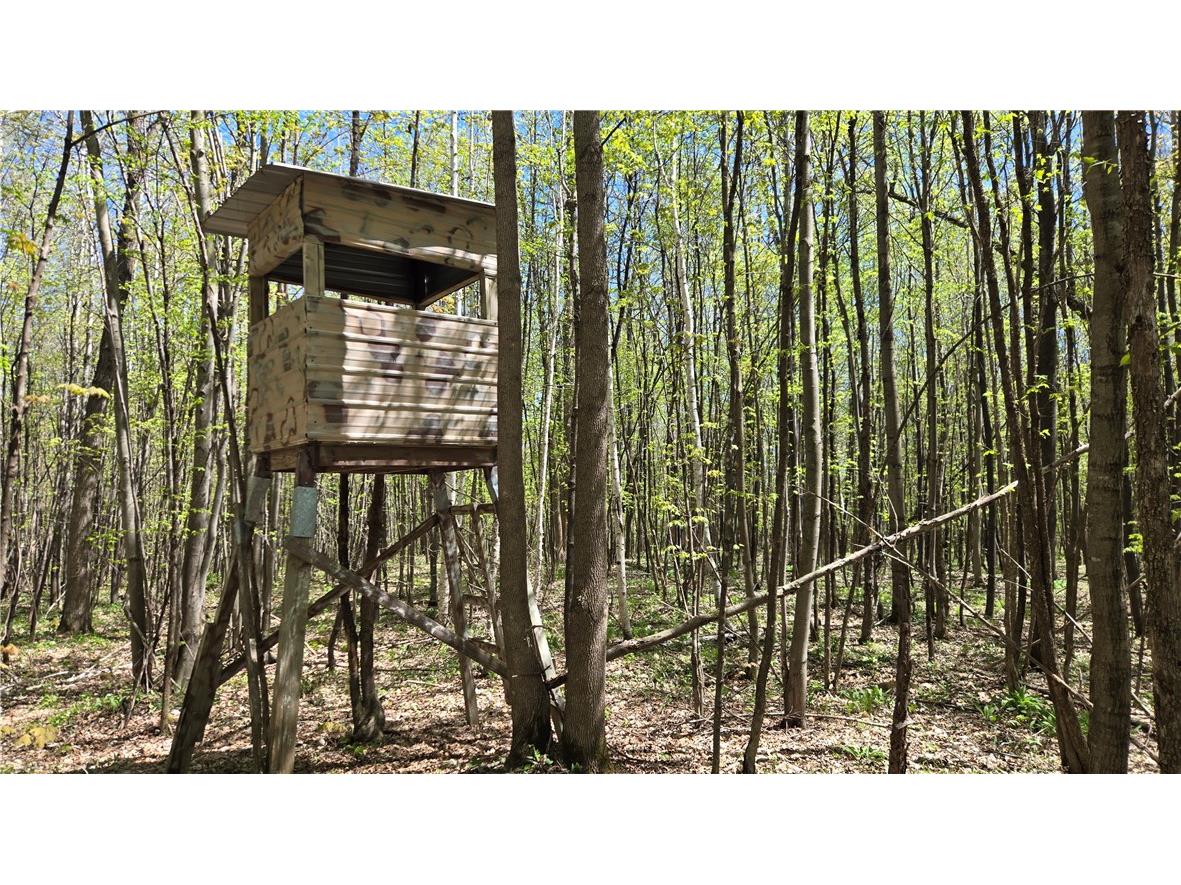 N 900 Joes Road Conrath WI 54731 - Branch of Main Creek 1594406 image52