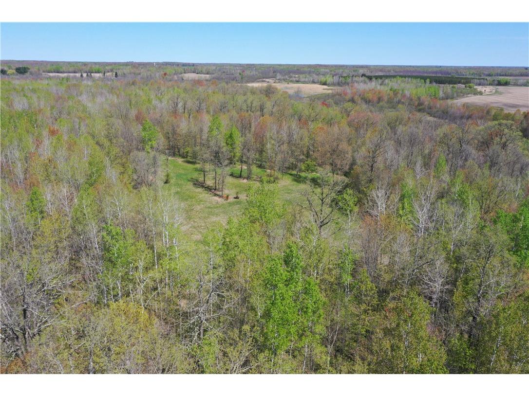 N 900 Joes Road Conrath WI 54731 - Branch of Main Creek 1594406 image53