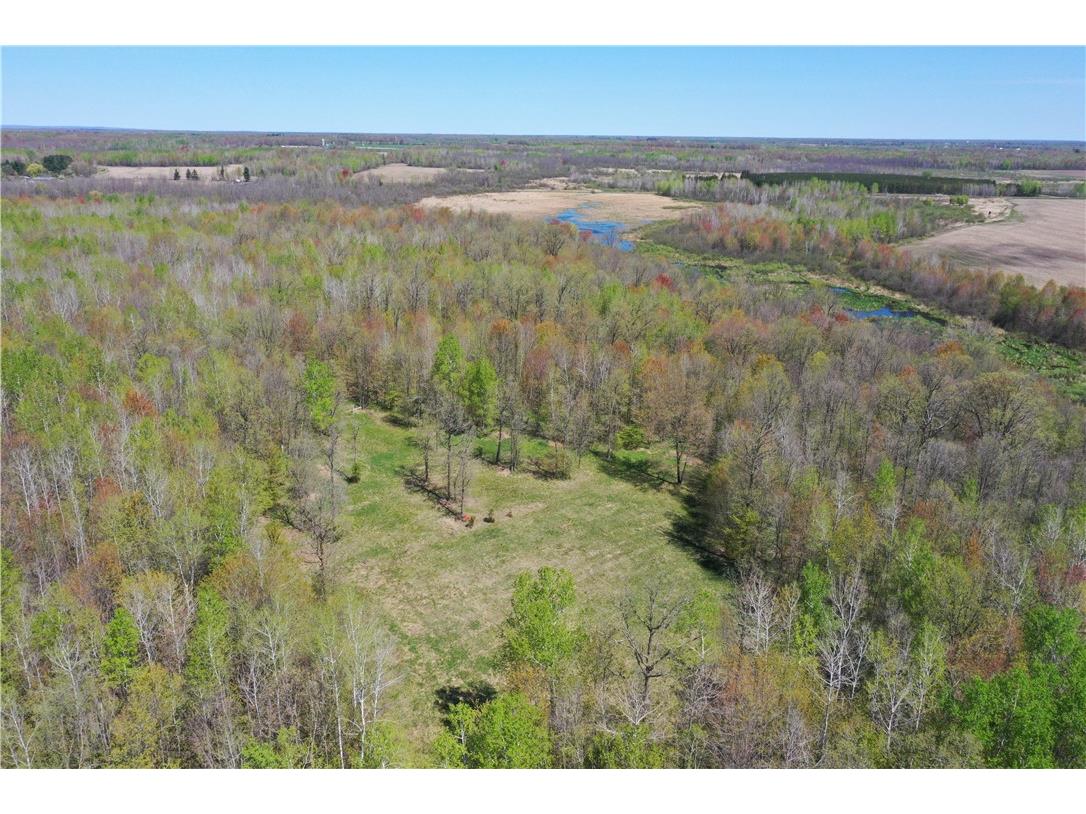 N 900 Joes Road Conrath WI 54731 - Branch of Main Creek 1594406 image54