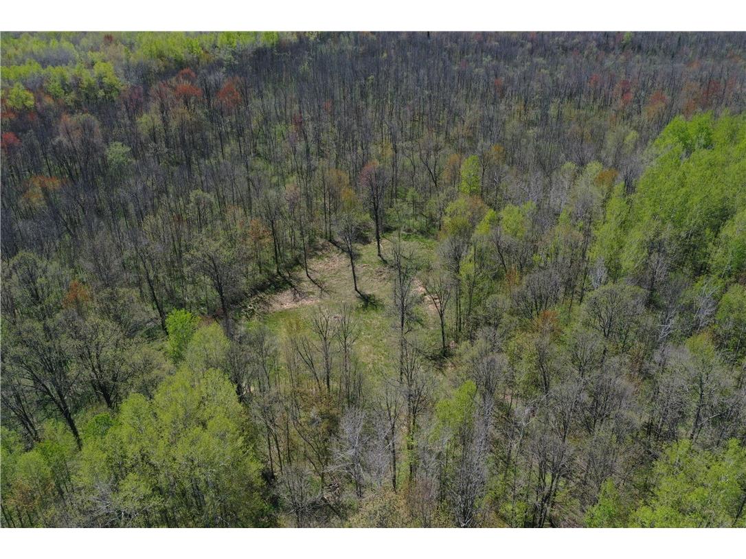 N 900 Joes Road Conrath WI 54731 - Branch of Main Creek 1594406 image56