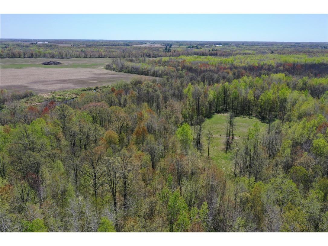 N 900 Joes Road Conrath WI 54731 - Branch of Main Creek 1594406 image58