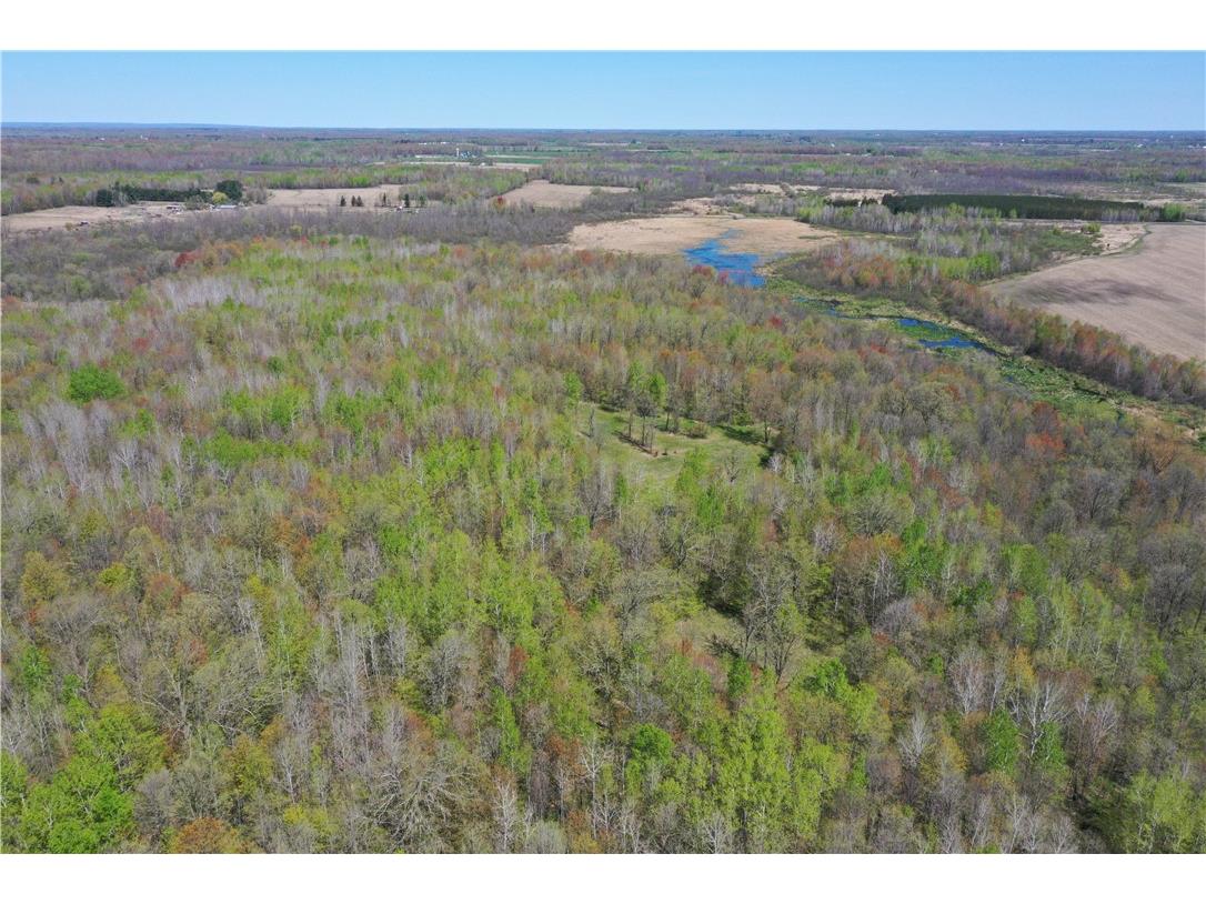 N 900 Joes Road Conrath WI 54731 - Branch of Main Creek 1594406 image59