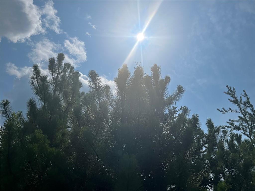 N/A CTH Y Gordon WI 54838 1576088 image1