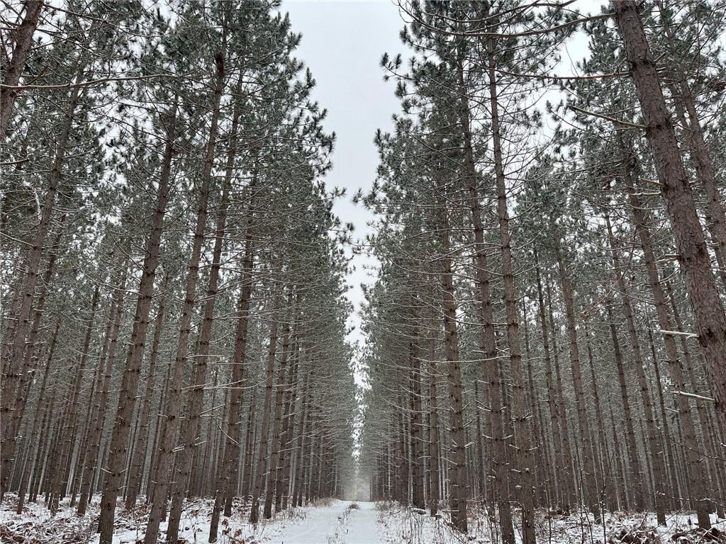 N/A County Highway A Springbrook WI 54875 1579028 image1