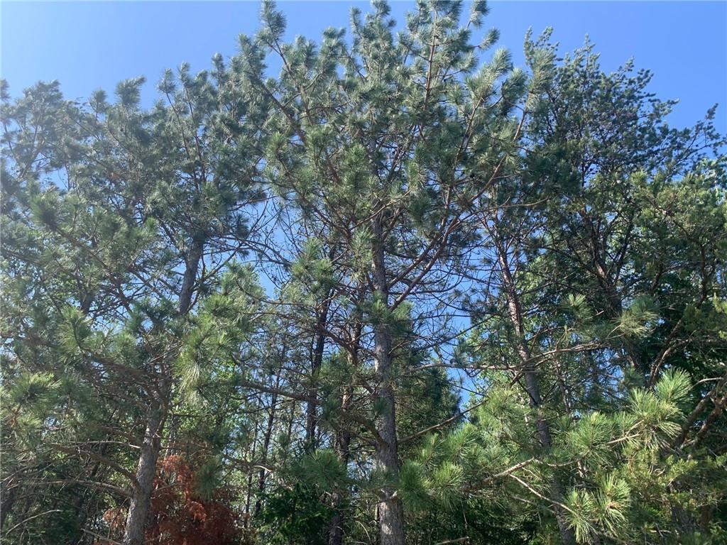 N/A County Highway E Springbrook WI 54875 1566073 image1