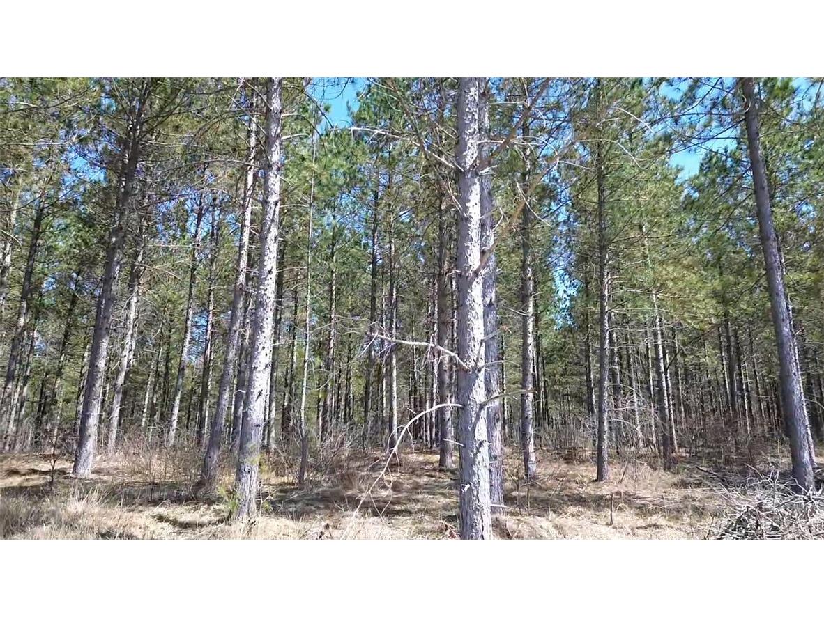 N/A Ellison Lake Road Barnes WI 54873 1591467 image10