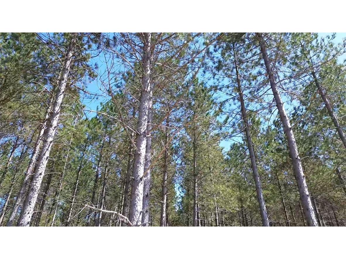 N/A Ellison Lake Road Barnes WI 54873 1591467 image11