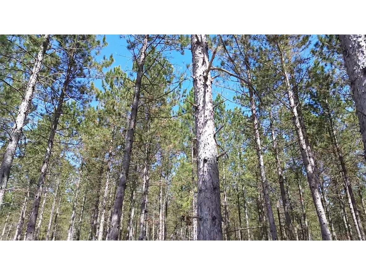 N/A Ellison Lake Road Barnes WI 54873 1591467 image12