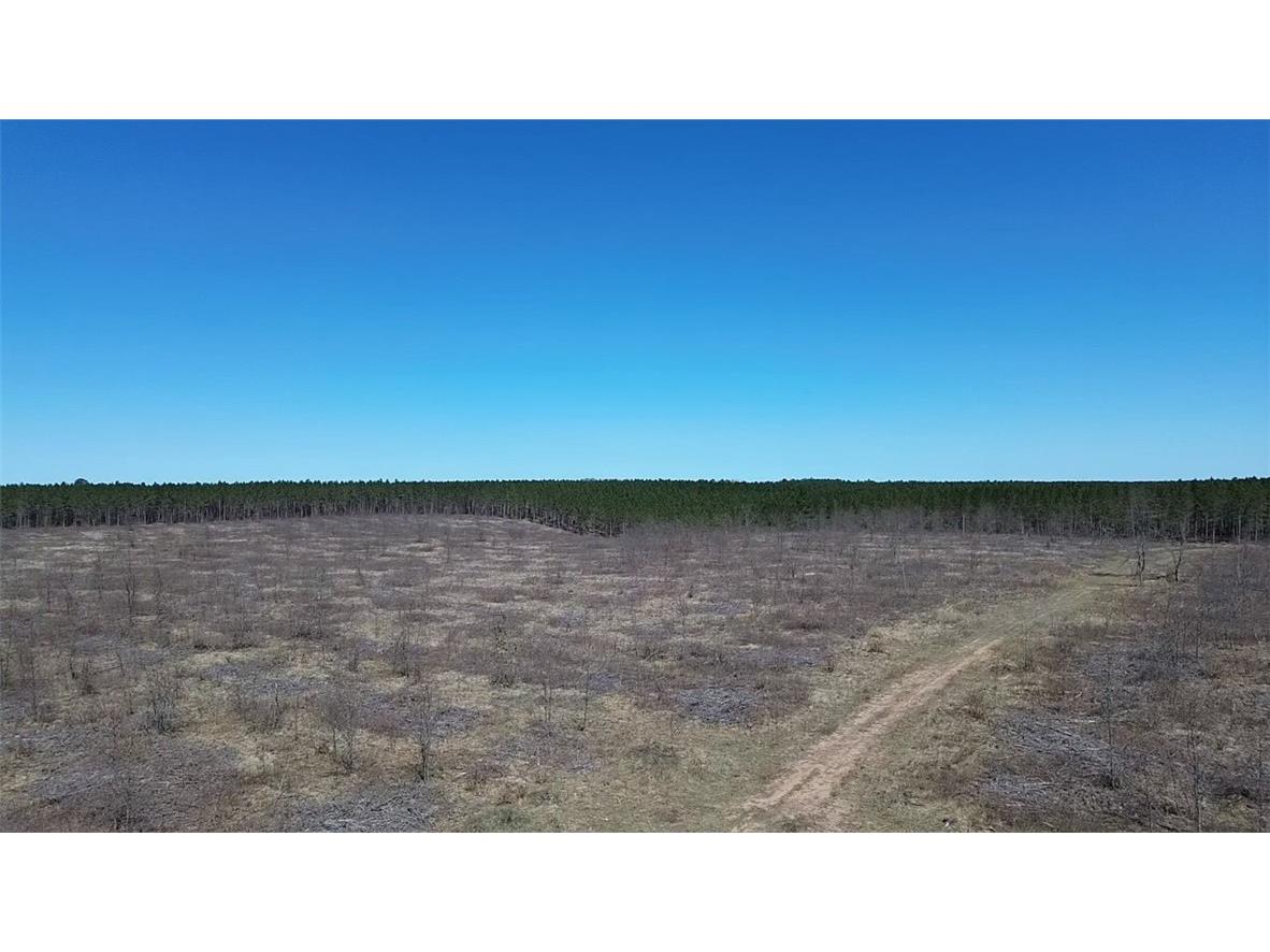 N/A Ellison Lake Road Barnes WI 54873 1591467 image3