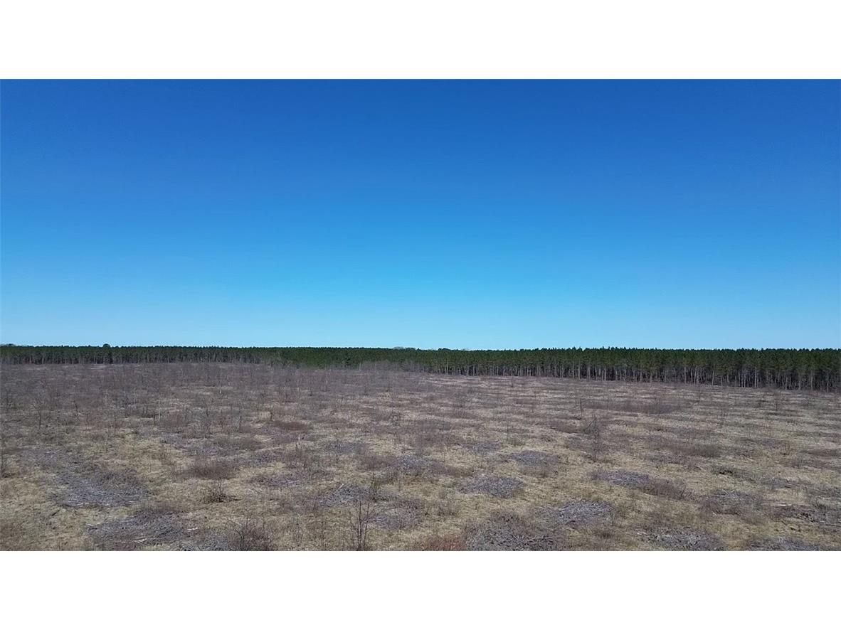 N/A Ellison Lake Road Barnes WI 54873 1591467 image5