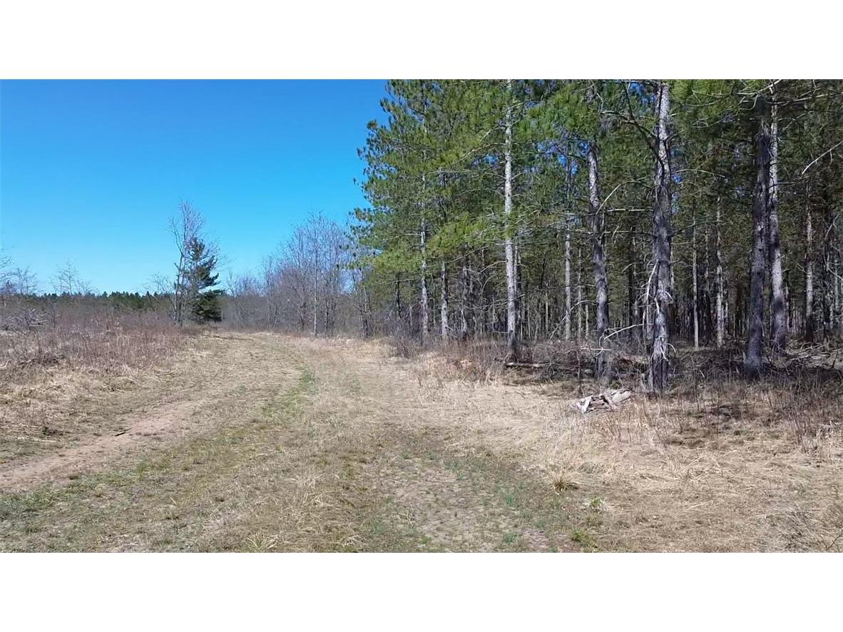 N/A Ellison Lake Road Barnes WI 54873 1591467 image8