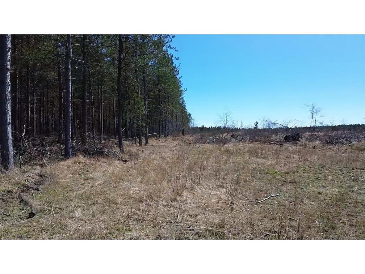 N/A Ellison Lake Road Barnes WI 54873 1591467 image9