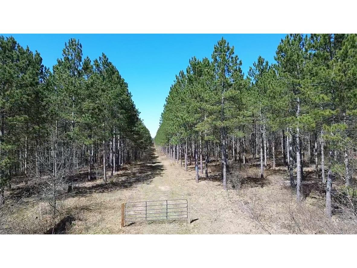 N/A Ellison Lake Road Barnes WI 54873 1591990 image1