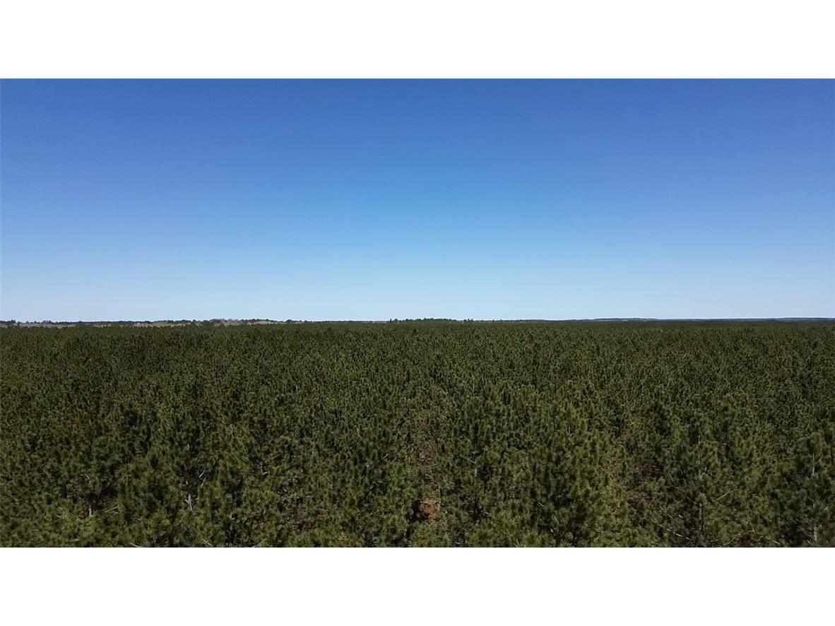 N/A Ellison Lake Road Barnes WI 54873 1591990 image10