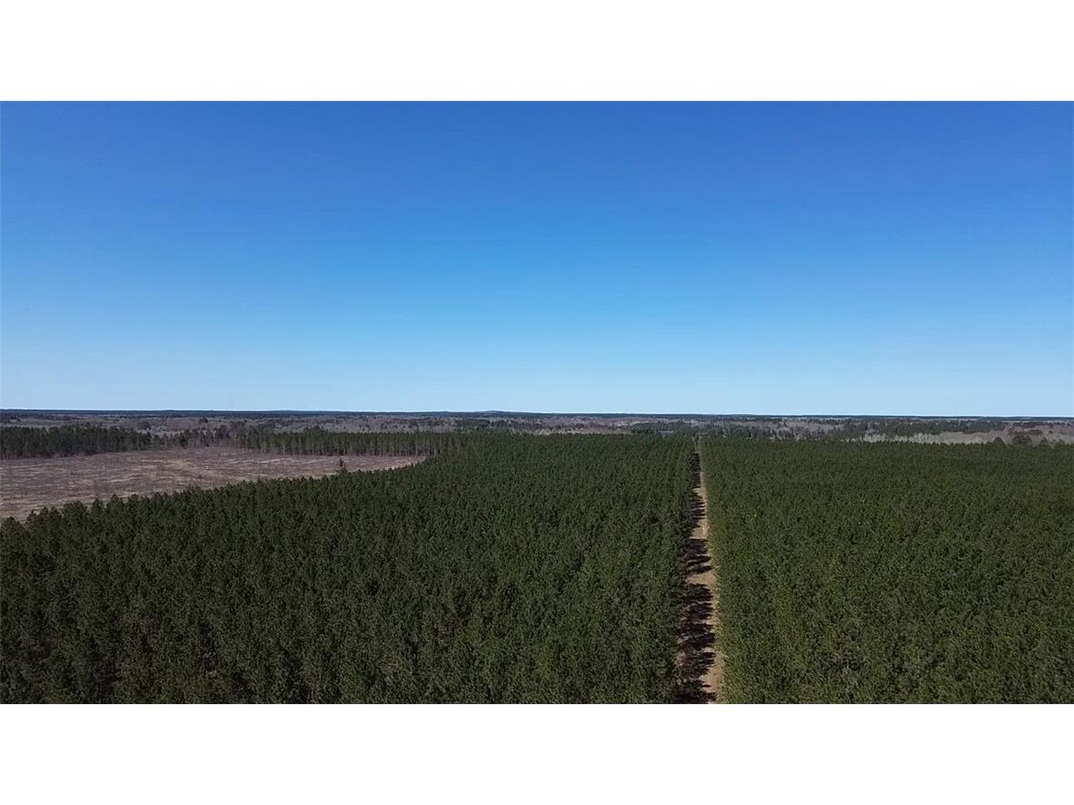 N/A Ellison Lake Road Barnes WI 54873 1591990 image11