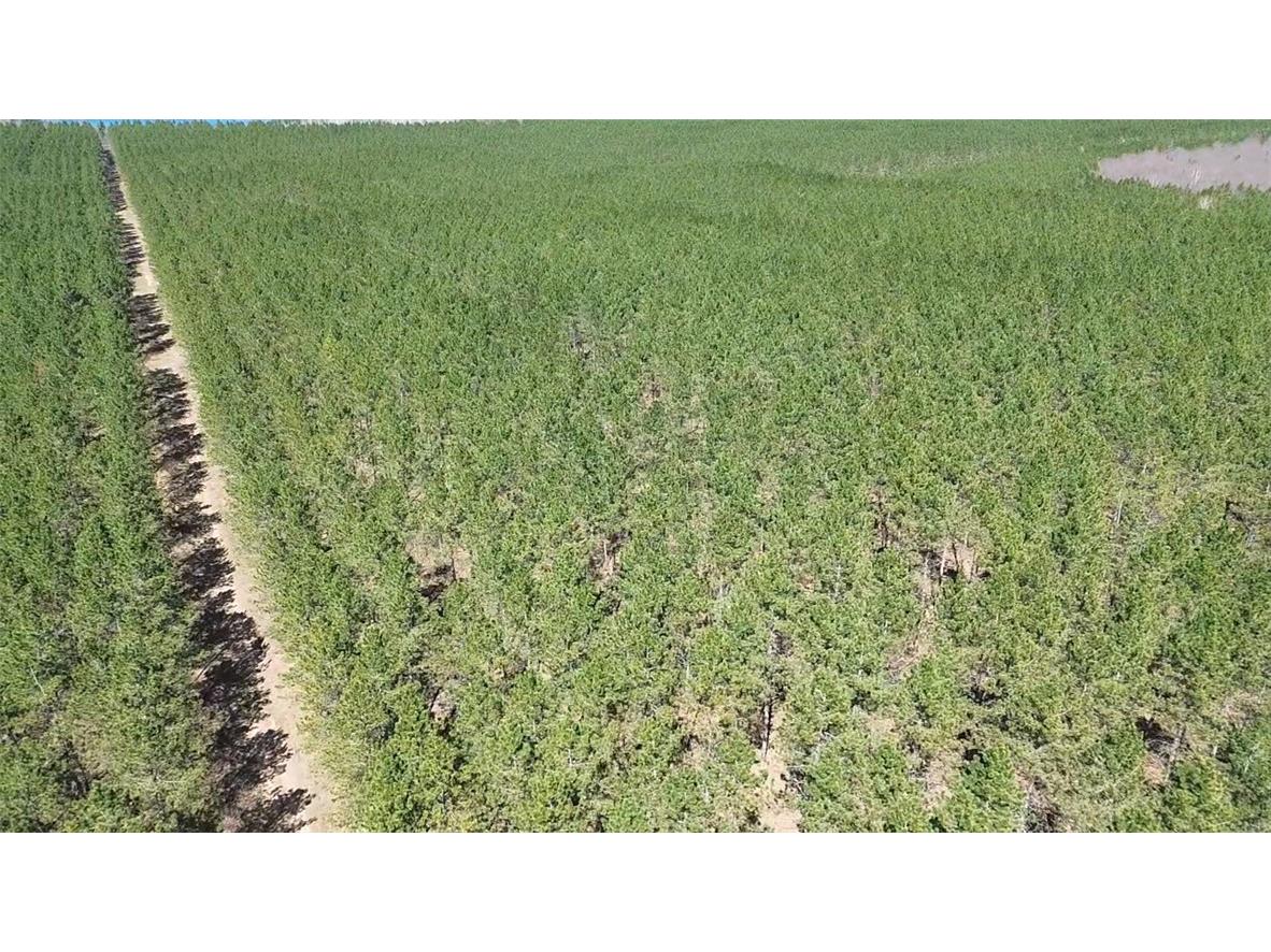 N/A Ellison Lake Road Barnes WI 54873 1591990 image12