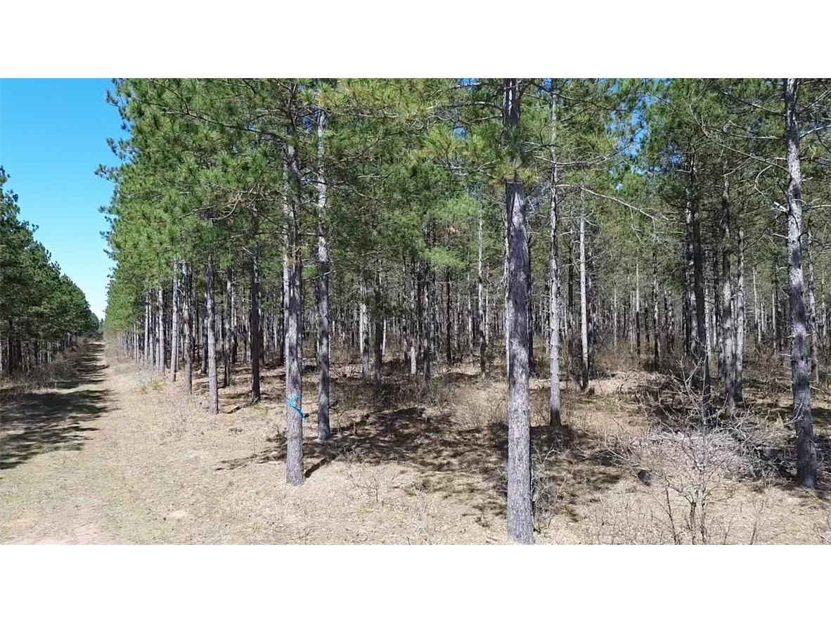 N/A Ellison Lake Road Barnes WI 54873 1591990 image2