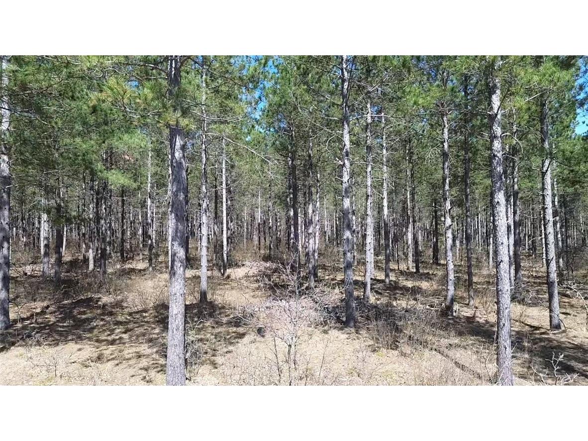 N/A Ellison Lake Road Barnes WI 54873 1591990 image3