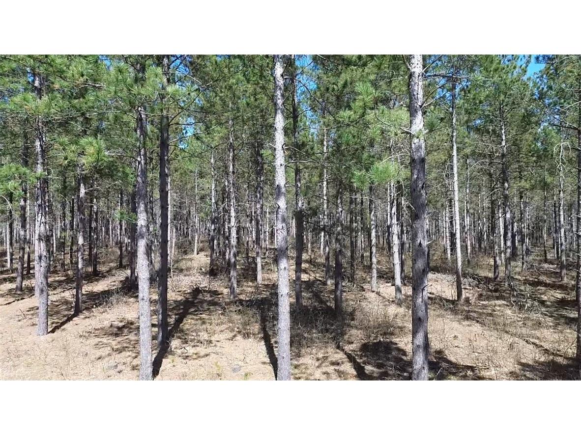 N/A Ellison Lake Road Barnes WI 54873 1591990 image4