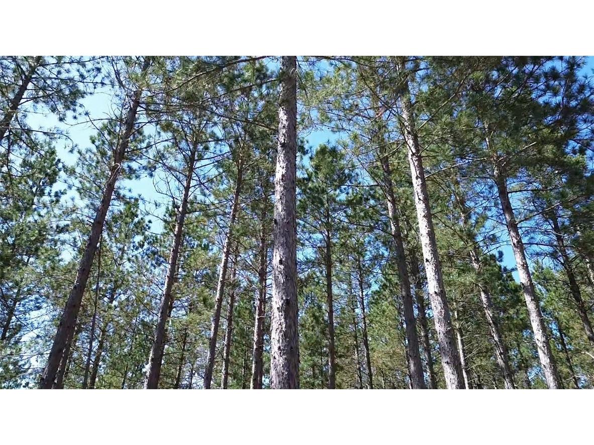 N/A Ellison Lake Road Barnes WI 54873 1591990 image5