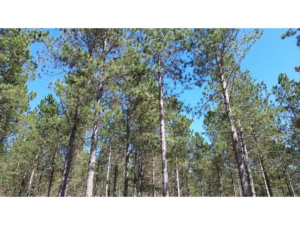 N/A Ellison Lake Road Barnes WI 54873 1591990 image6