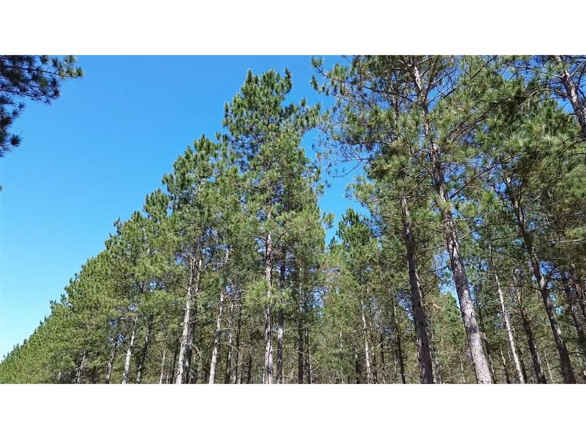 N/A Ellison Lake Road Barnes WI 54873 1591990 image7