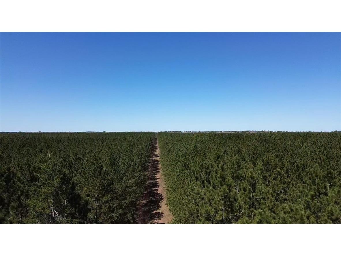 N/A Ellison Lake Road Barnes WI 54873 1591990 image9