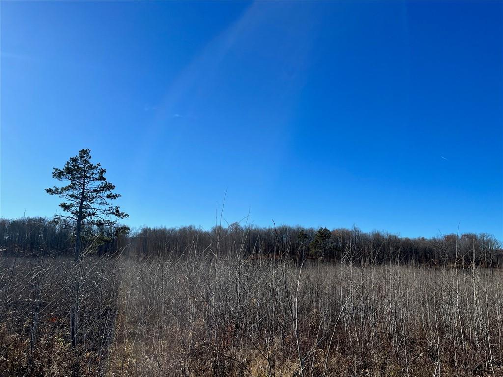 N/A Gardner Lake Rd Minong WI 54859 1578349 image1