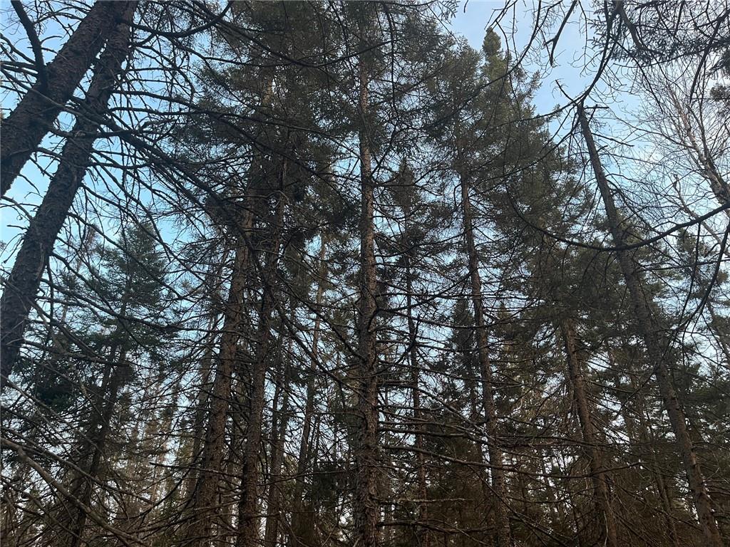 N/A Line Rd Bennett WI 54873 1578352 image1