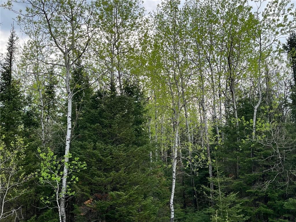 N/A Main Rd Springbrook WI 54875 1573149 image1