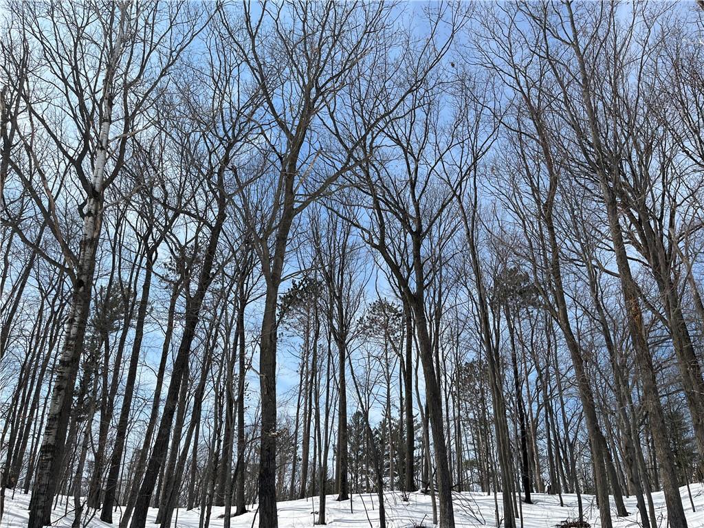 N/A New Knapp Rd, Shell Lake, WI 54871 MLS 1572086 Edina Realty