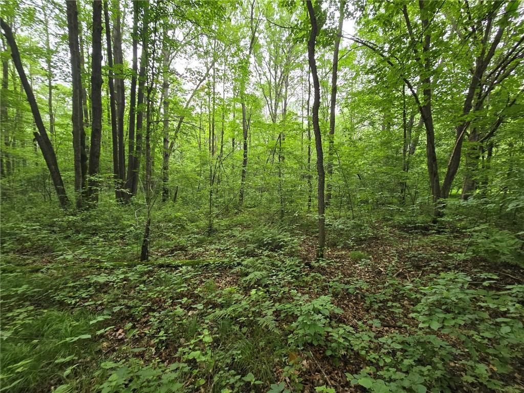 , Jump River, WI, 54766 MLS 1583587 Edina Realty