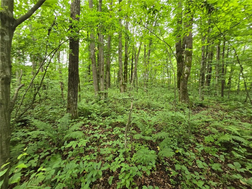 , Jump River, WI, 54766 MLS 1583215 Edina Realty