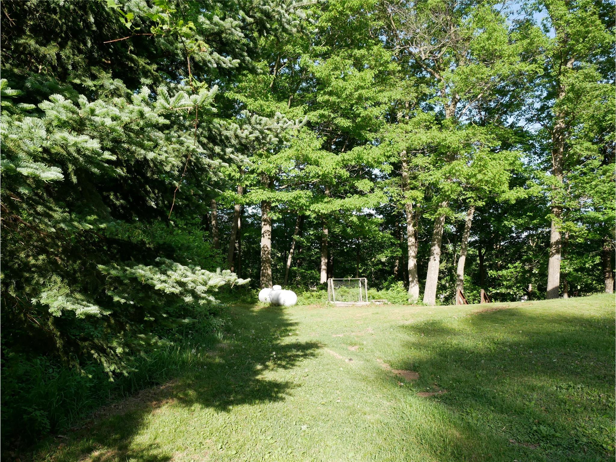 N1003 Deerhead Point Drive Chetek WI 54728 - Potato 1599392 image12