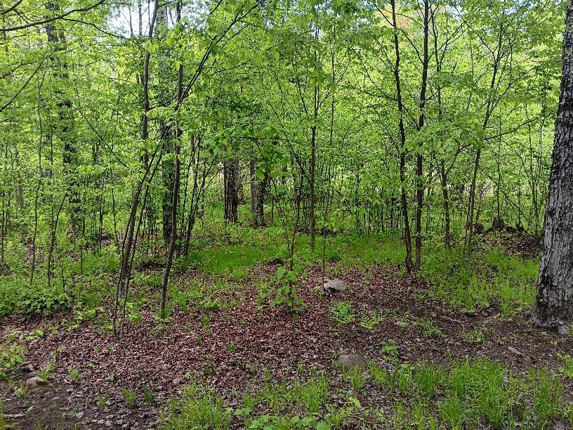 N10095 Woodland Lane Phillips WI 54555 1592175 image10