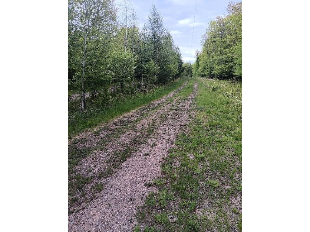 N10095 Woodland Lane Phillips WI 54555 1592175 image16